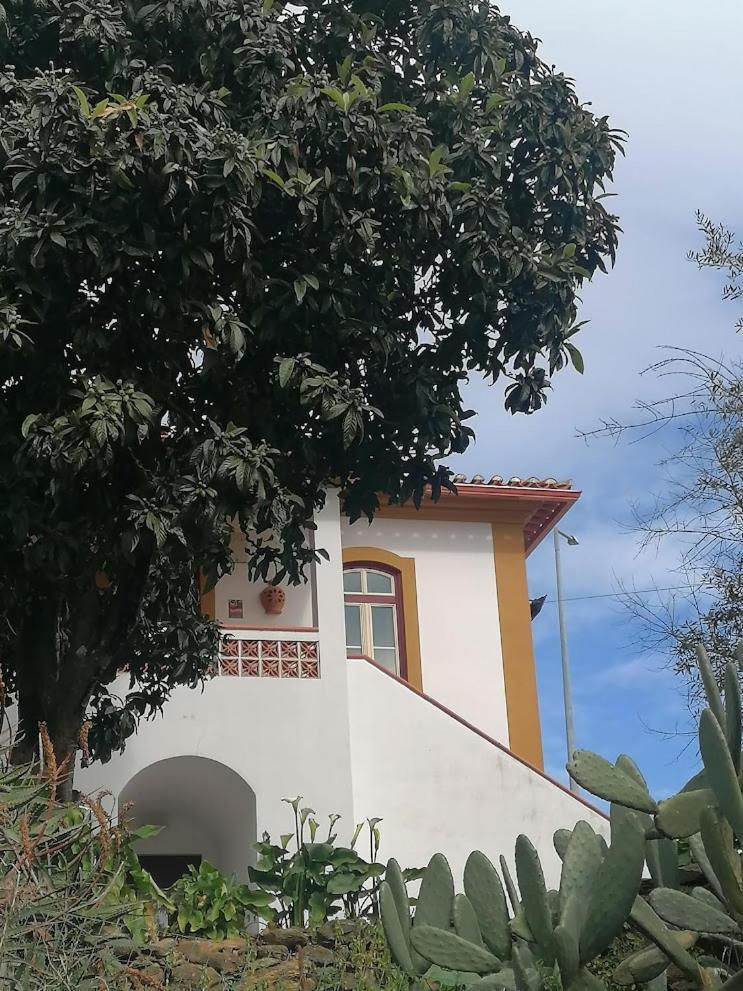 Quinta Do Americano Sardoal ภายนอก รูปภาพ